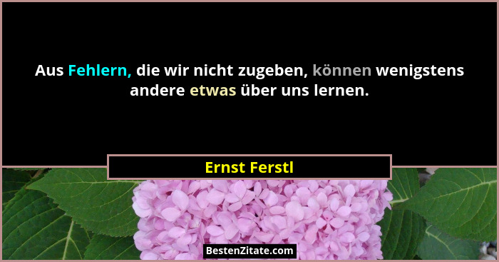 Aus Fehlern, die wir nicht zugeben, können wenigstens andere etwas über uns lernen.... - Ernst Ferstl