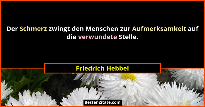 Der Schmerz zwingt den Menschen zur Aufmerksamkeit auf die verwundete Stelle.... - Friedrich Hebbel