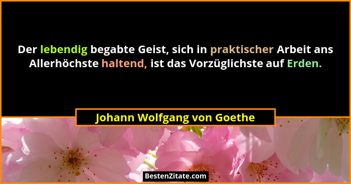 Der lebendig begabte Geist, sich in praktischer Arbeit ans Allerhöchste haltend, ist das Vorzüglichste auf Erden.... - Johann Wolfgang von Goethe