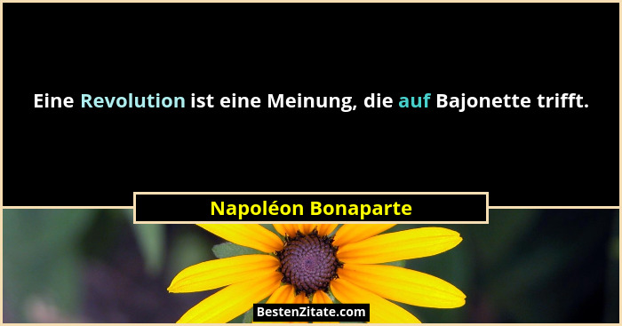 Eine Revolution ist eine Meinung, die auf Bajonette trifft.... - Napoléon Bonaparte