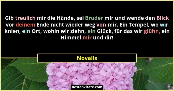 Gib treulich mir die Hände, sei Bruder mir und wende den Blick vor deinem Ende nicht wieder weg von mir. Ein Tempel, wo wir knien, ein Ort,... - Novalis