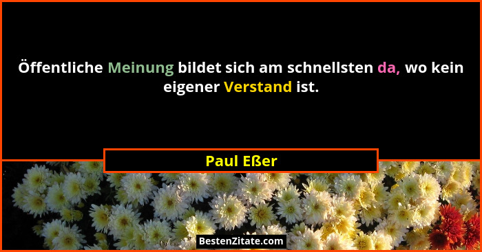 Öffentliche Meinung bildet sich am schnellsten da, wo kein eigener Verstand ist.... - Paul Eßer
