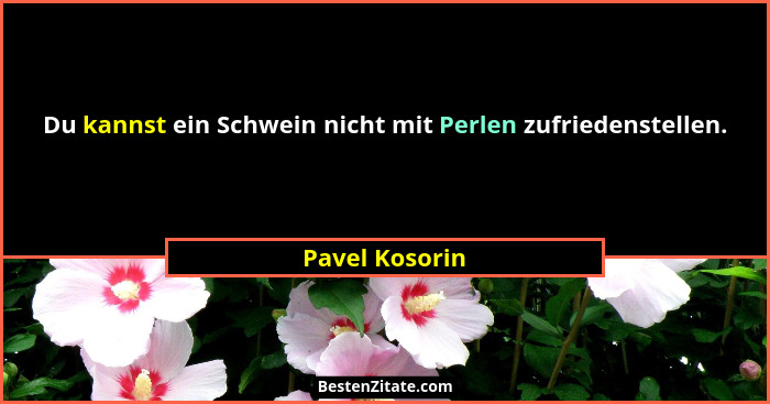 Du kannst ein Schwein nicht mit Perlen zufriedenstellen.... - Pavel Kosorin