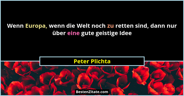 Wenn Europa, wenn die Welt noch zu retten sind, dann nur über eine gute geistige Idee... - Peter Plichta