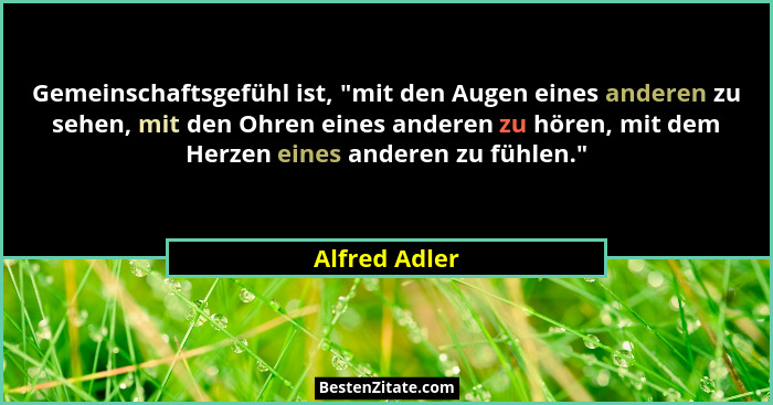 Gemeinschaftsgefühl ist, "mit den Augen eines anderen zu sehen, mit den Ohren eines anderen zu hören, mit dem Herzen eines anderen... - Alfred Adler