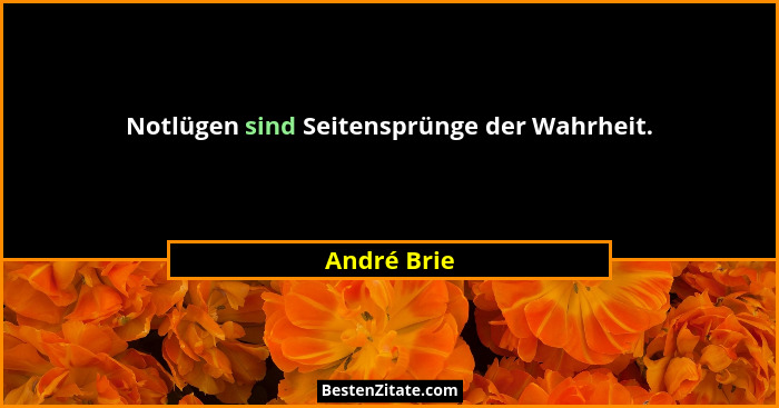 Notlügen sind Seitensprünge der Wahrheit.... - André Brie