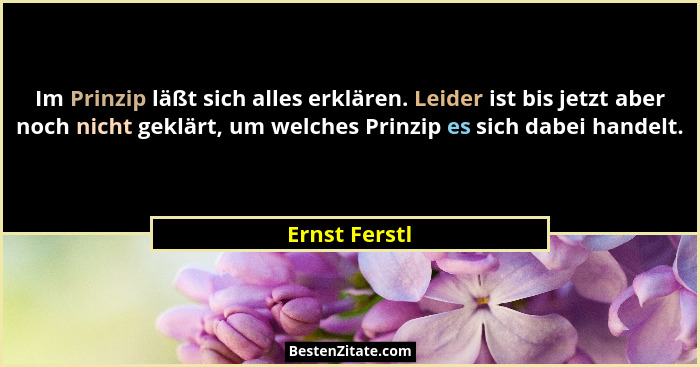 Im Prinzip läßt sich alles erklären. Leider ist bis jetzt aber noch nicht geklärt, um welches Prinzip es sich dabei handelt.... - Ernst Ferstl
