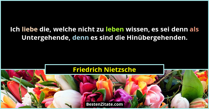 Ich liebe die, welche nicht zu leben wissen, es sei denn als Untergehende, denn es sind die Hinübergehenden.... - Friedrich Nietzsche