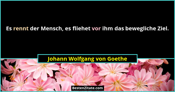 Es rennt der Mensch, es fliehet vor ihm das bewegliche Ziel.... - Johann Wolfgang von Goethe