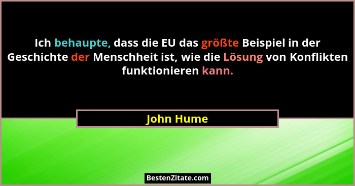 Ich behaupte, dass die EU das größte Beispiel in der Geschichte der Menschheit ist, wie die Lösung von Konflikten funktionieren kann.... - John Hume