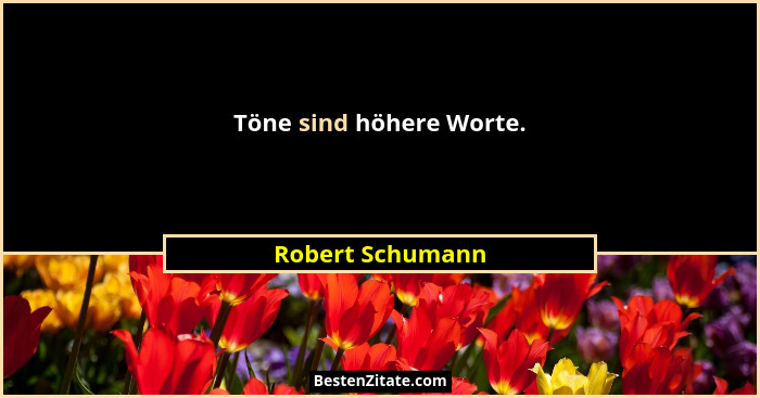 Töne sind höhere Worte.... - Robert Schumann