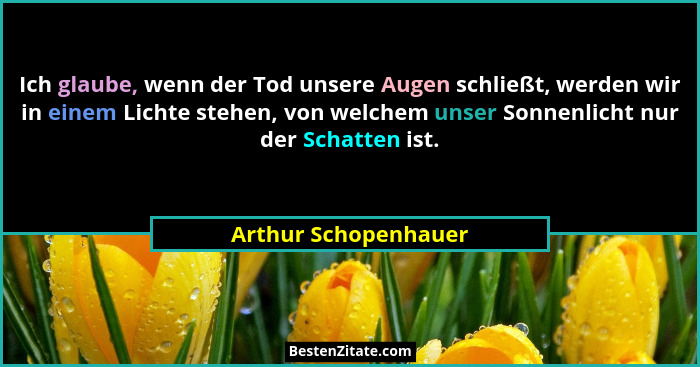 Ich glaube, wenn der Tod unsere Augen schließt, werden wir in einem Lichte stehen, von welchem unser Sonnenlicht nur der Schatte... - Arthur Schopenhauer