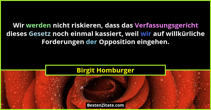 Wir werden nicht riskieren, dass das Verfassungsgericht dieses Gesetz noch einmal kassiert, weil wir auf willkürliche Forderungen d... - Birgit Homburger