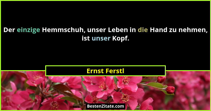Der einzige Hemmschuh, unser Leben in die Hand zu nehmen, ist unser Kopf.... - Ernst Ferstl