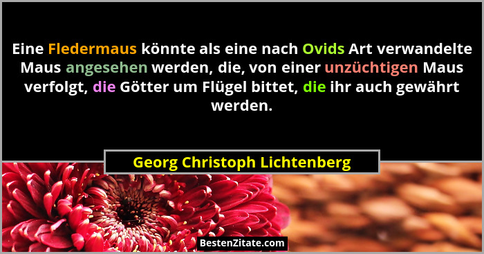 Eine Fledermaus könnte als eine nach Ovids Art verwandelte Maus angesehen werden, die, von einer unzüchtigen Maus verfol... - Georg Christoph Lichtenberg