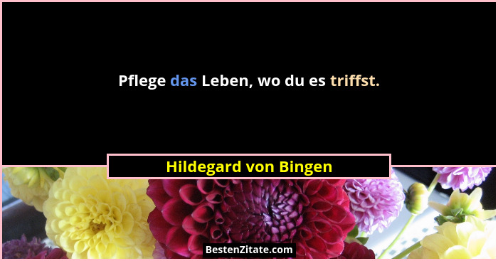 Pflege das Leben, wo du es triffst.... - Hildegard von Bingen