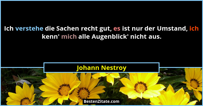 Ich verstehe die Sachen recht gut, es ist nur der Umstand, ich kenn' mich alle Augenblick' nicht aus.... - Johann Nestroy