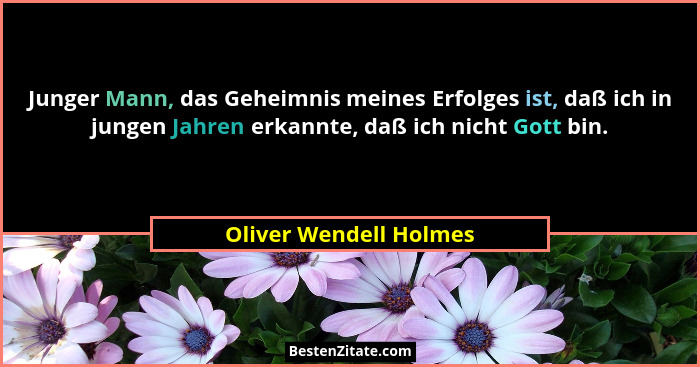 Junger Mann, das Geheimnis meines Erfolges ist, daß ich in jungen Jahren erkannte, daß ich nicht Gott bin.... - Oliver Wendell Holmes