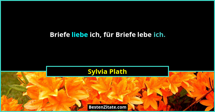 Briefe liebe ich, für Briefe lebe ich.... - Sylvia Plath