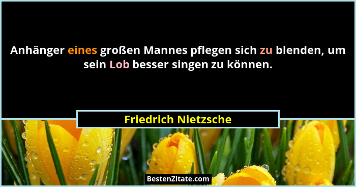 Anhänger eines großen Mannes pflegen sich zu blenden, um sein Lob besser singen zu können.... - Friedrich Nietzsche
