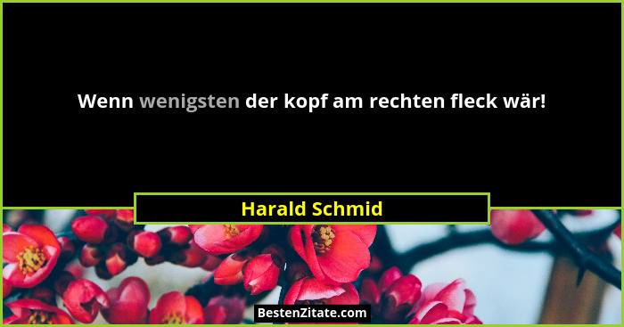 Wenn wenigsten der kopf am rechten fleck wär!... - Harald Schmid
