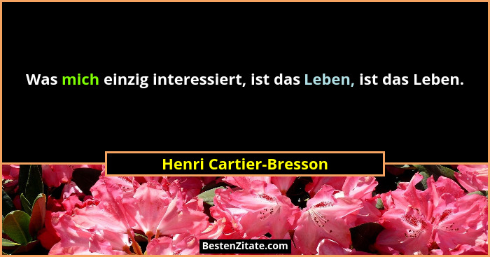 Was mich einzig interessiert, ist das Leben, ist das Leben.... - Henri Cartier-Bresson