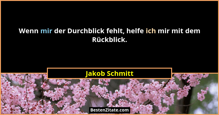 Wenn mir der Durchblick fehlt, helfe ich mir mit dem Rückblick.... - Jakob Schmitt