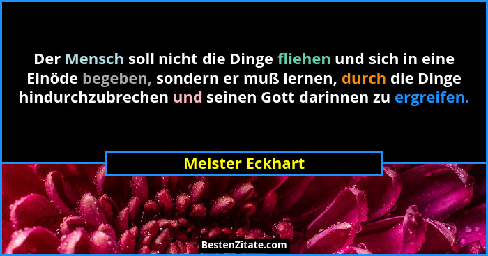 Der Mensch soll nicht die Dinge fliehen und sich in eine Einöde begeben, sondern er muß lernen, durch die Dinge hindurchzubrechen un... - Meister Eckhart