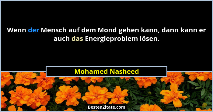 Wenn der Mensch auf dem Mond gehen kann, dann kann er auch das Energieproblem lösen.... - Mohamed Nasheed