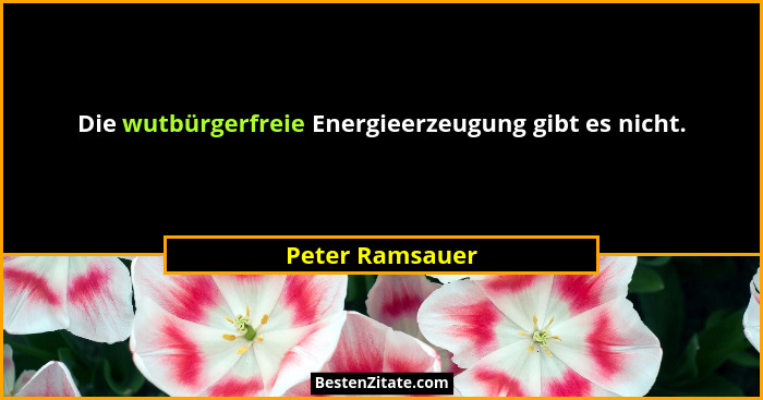 Die wutbürgerfreie Energieerzeugung gibt es nicht.... - Peter Ramsauer