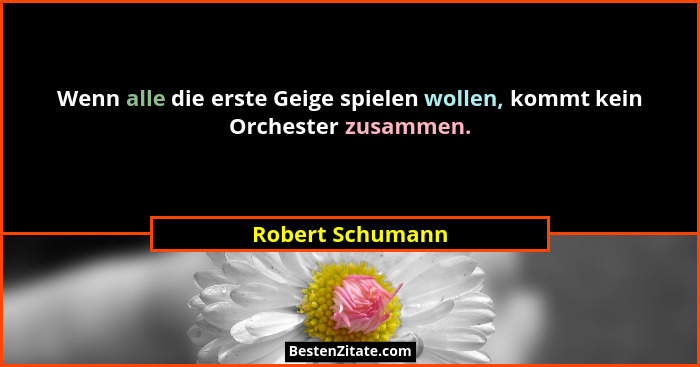 Wenn alle die erste Geige spielen wollen, kommt kein Orchester zusammen.... - Robert Schumann