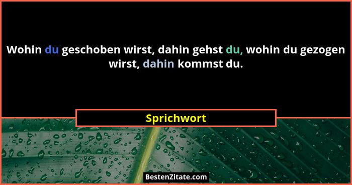 Wohin du geschoben wirst, dahin gehst du, wohin du gezogen wirst, dahin kommst du.... - Sprichwort