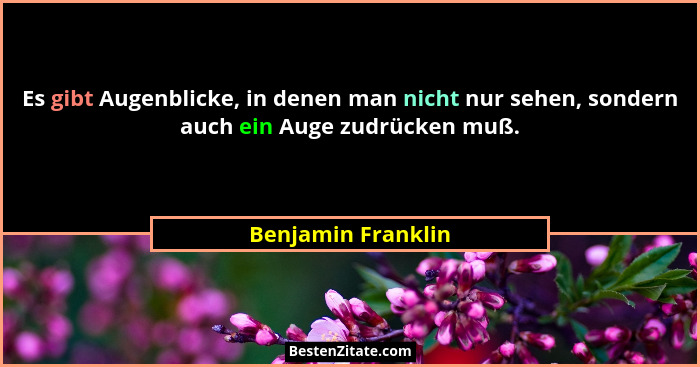 Es gibt Augenblicke, in denen man nicht nur sehen, sondern auch ein Auge zudrücken muß.... - Benjamin Franklin