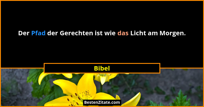 Der Pfad der Gerechten ist wie das Licht am Morgen.... - Bibel