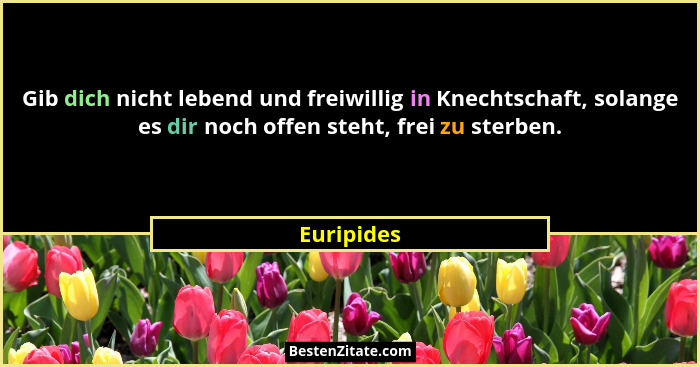Gib dich nicht lebend und freiwillig in Knechtschaft, solange es dir noch offen steht, frei zu sterben.... - Euripides