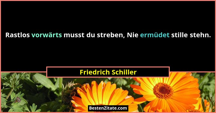 Rastlos vorwärts musst du streben, Nie ermüdet stille stehn.... - Friedrich Schiller