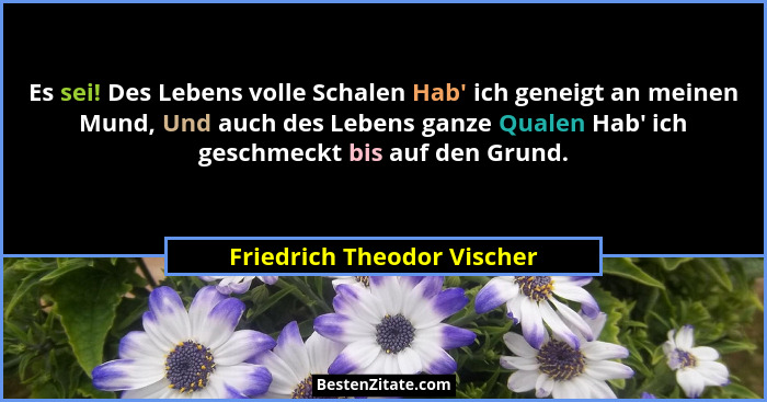 Es sei! Des Lebens volle Schalen Hab' ich geneigt an meinen Mund, Und auch des Lebens ganze Qualen Hab' ich geschm... - Friedrich Theodor Vischer
