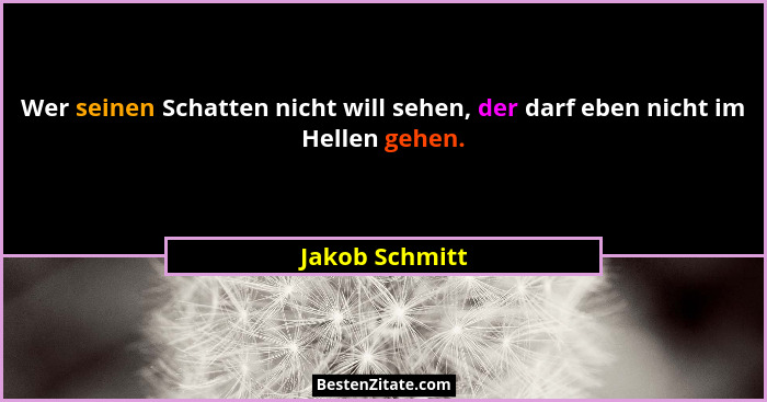 Wer seinen Schatten nicht will sehen, der darf eben nicht im Hellen gehen.... - Jakob Schmitt