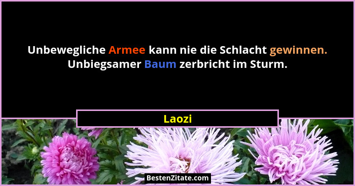 Unbewegliche Armee kann nie die Schlacht gewinnen. Unbiegsamer Baum zerbricht im Sturm.... - Laozi
