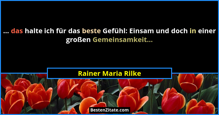 ... das halte ich für das beste Gefühl: Einsam und doch in einer großen Gemeinsamkeit...... - Rainer Maria Rilke