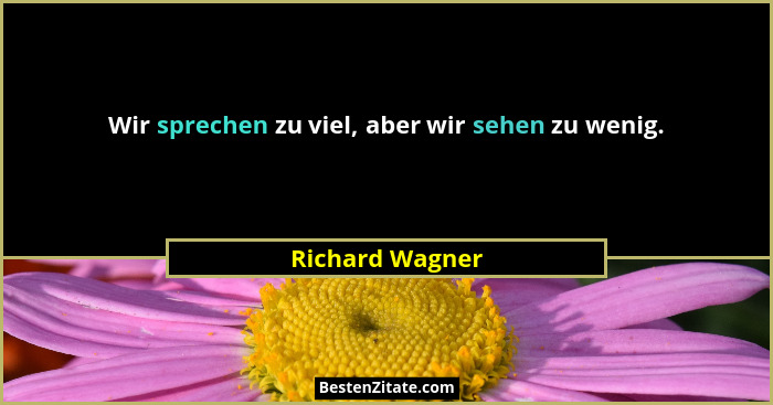 Wir sprechen zu viel, aber wir sehen zu wenig.... - Richard Wagner