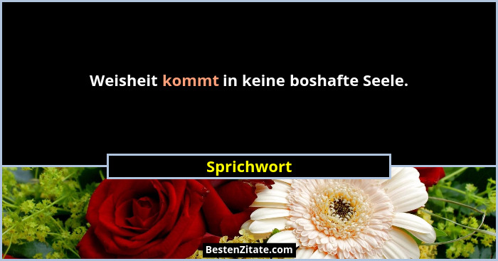Weisheit kommt in keine boshafte Seele.... - Sprichwort