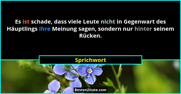 Es ist schade, dass viele Leute nicht in Gegenwart des Häuptlings ihre Meinung sagen, sondern nur hinter seinem Rücken.... - Sprichwort