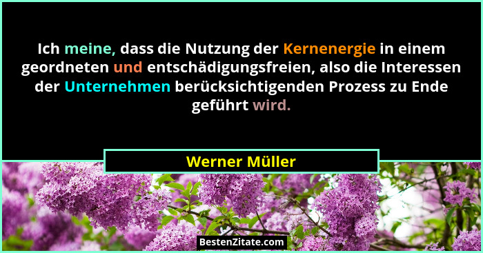 Ich meine, dass die Nutzung der Kernenergie in einem geordneten und entschädigungsfreien, also die Interessen der Unternehmen berücksi... - Werner Müller