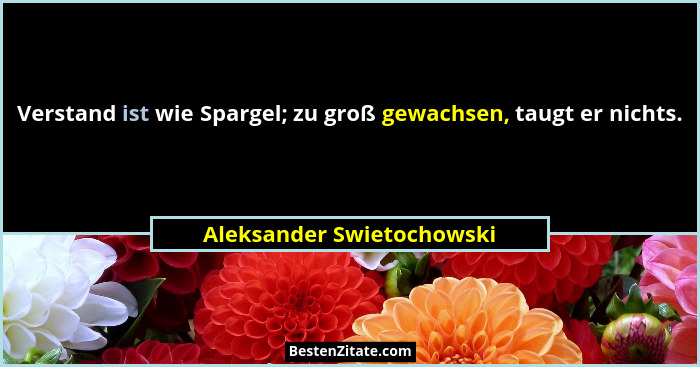 Verstand ist wie Spargel; zu groß gewachsen, taugt er nichts.... - Aleksander Swietochowski