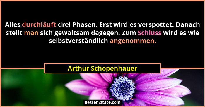 Alles durchläuft drei Phasen. Erst wird es verspottet. Danach stellt man sich gewaltsam dagegen. Zum Schluss wird es wie selbstv... - Arthur Schopenhauer