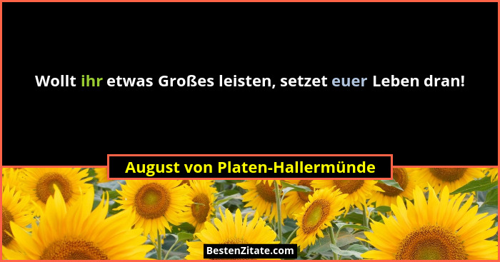 Wollt ihr etwas Großes leisten, setzet euer Leben dran!... - August von Platen-Hallermünde