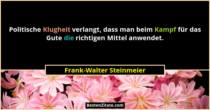 Politische Klugheit verlangt, dass man beim Kampf für das Gute die richtigen Mittel anwendet.... - Frank-Walter Steinmeier