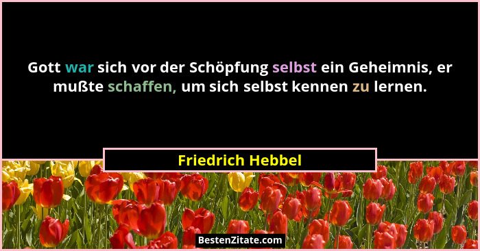 Gott war sich vor der Schöpfung selbst ein Geheimnis, er mußte schaffen, um sich selbst kennen zu lernen.... - Friedrich Hebbel