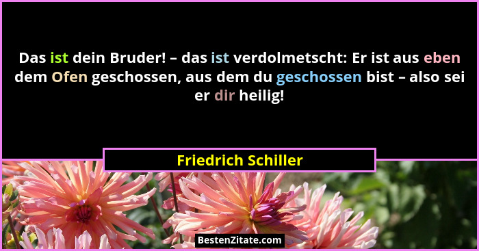 Das ist dein Bruder! – das ist verdolmetscht: Er ist aus eben dem Ofen geschossen, aus dem du geschossen bist – also sei er dir h... - Friedrich Schiller